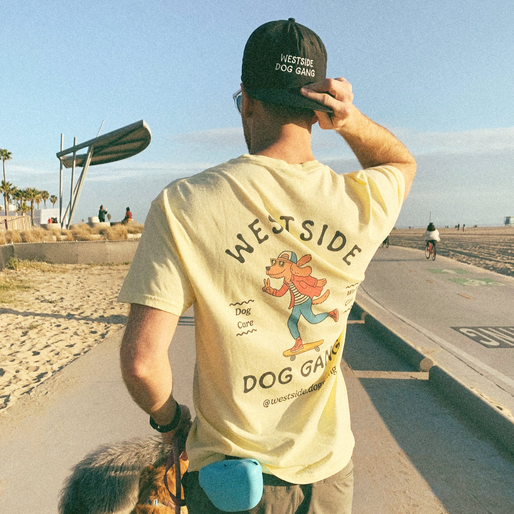 A man confidently walks on the boardwalk with his two dogs, proudly wearing a Westside Dog Gang shirt and hat.