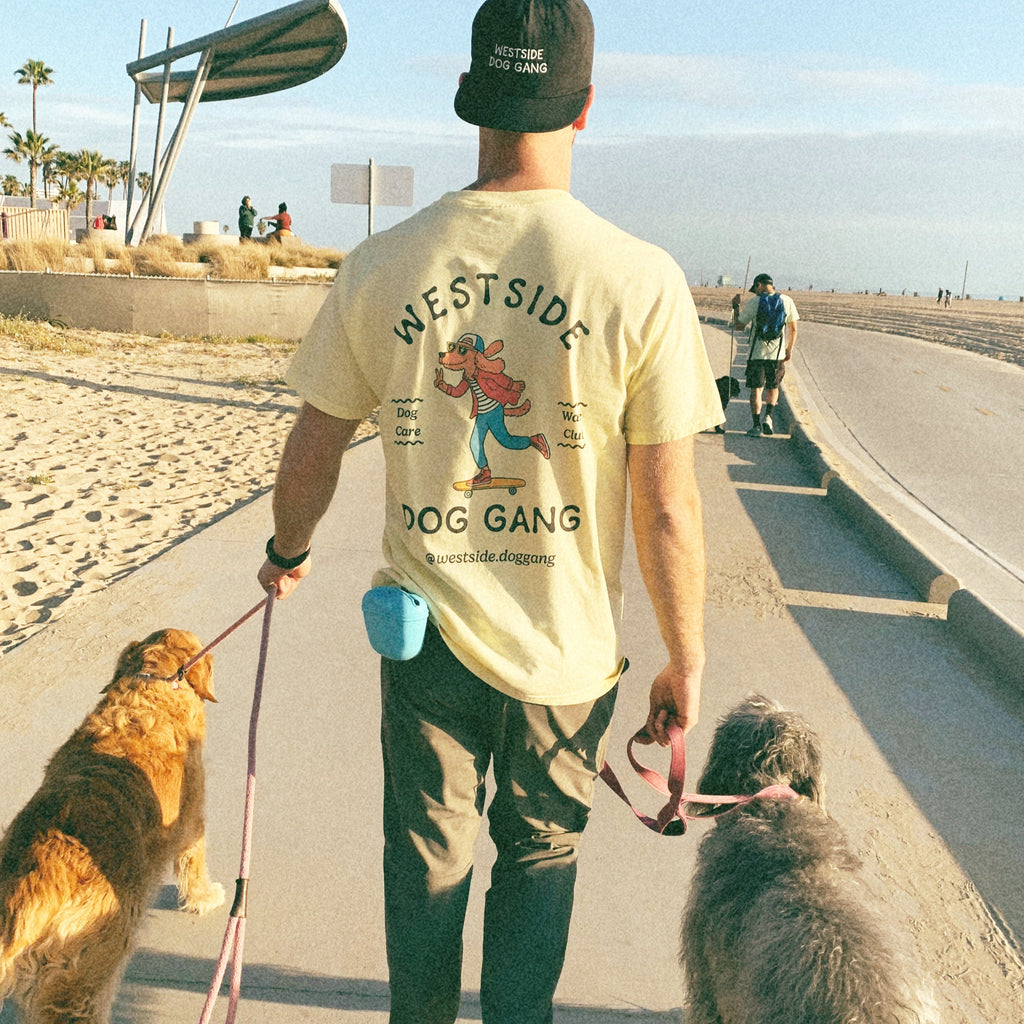A man confidently walks two dogs along the boardwalk in Santa Monica, wearing a Westside Gang shirt and hat, exuding a sense of style and belonging