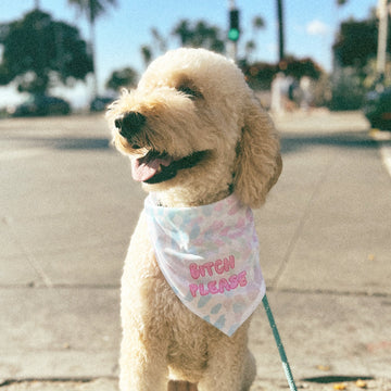 Vibrant dog bandana with 'Bitch Please' slogan, perfect for sassy pups.