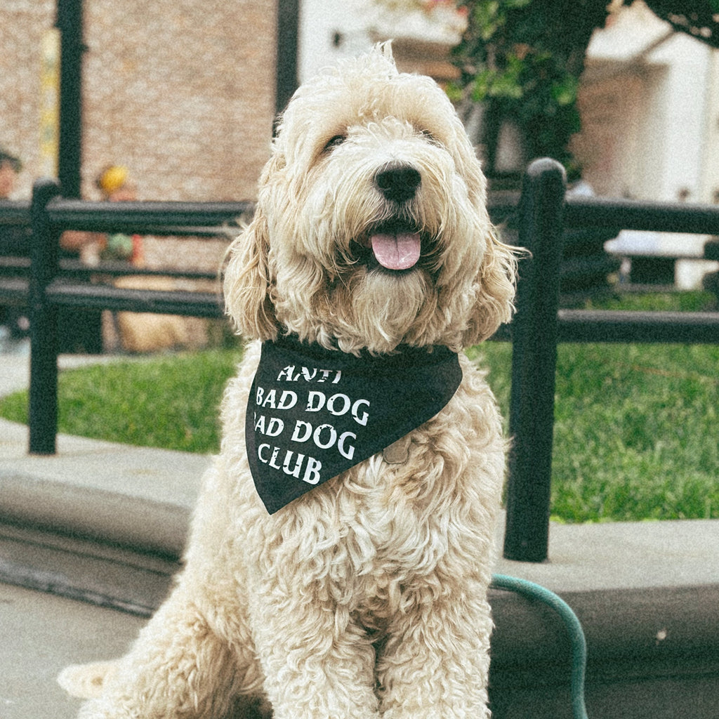 Black and white dog bandana with 'Anti Bad Dog Bad Dog Club' slogan, perfect for stylish pups.