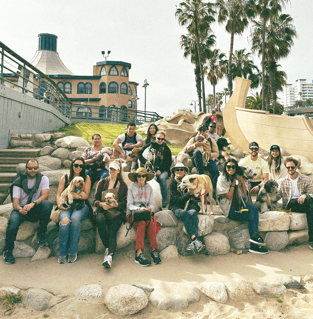 A diverse group of individuals and their furry companions sitting together by the boardwalk, enjoying a moment of relaxation after a social group dog walk.